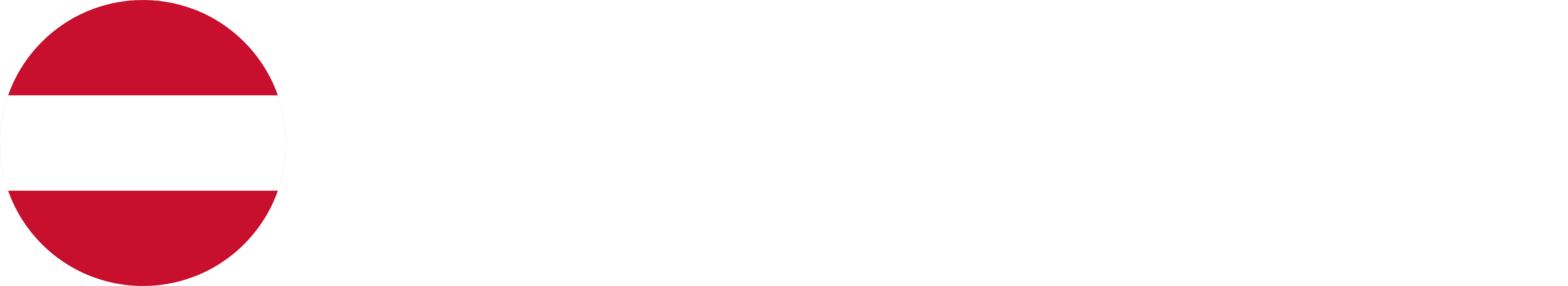 JobsInAustria.at logo